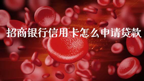 招商银行信用卡怎么申请贷款_https://m.fansifence.com_消费金融_第1张