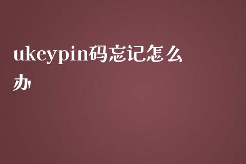 ukeypin码忘记怎么办_https://m.fansifence.com_贵金属行情_第1张