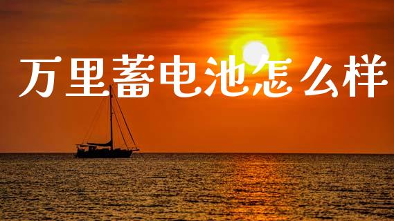 万里蓄电池怎么样_https://m.fansifence.com_公募基金_第1张
