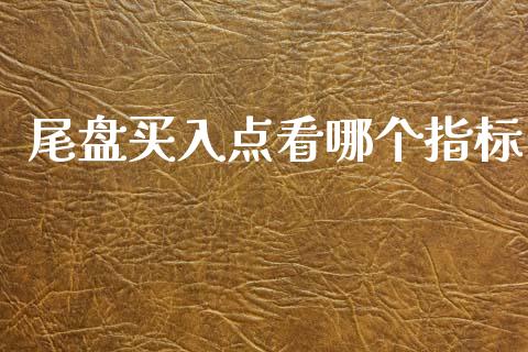 尾盘买入点看哪个指标_https://m.fansifence.com_公募基金_第1张