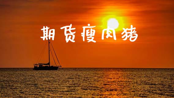 期货瘦肉猪_https://m.fansifence.com_消费金融_第1张