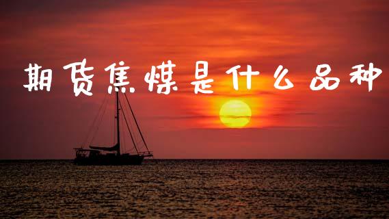 期货焦煤是什么品种_https://m.fansifence.com_贵金属行情_第1张