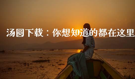 汤圆下载：你想知道的都在这里_https://m.fansifence.com_消费金融_第1张