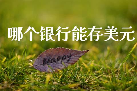 哪个银行能存美元_https://m.fansifence.com_消费金融_第1张