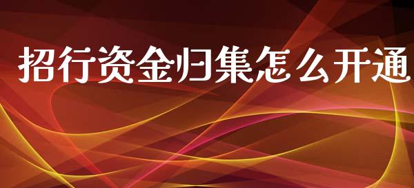 招行资金归集怎么开通_https://m.fansifence.com_贵金属行情_第1张