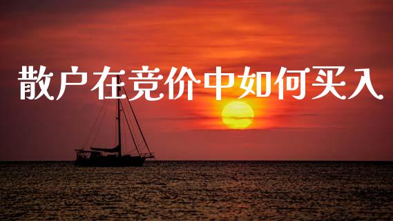 散户在竞价中如何买入_https://m.fansifence.com_贵金属行情_第1张