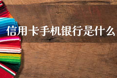 信用卡手机银行是什么_https://m.fansifence.com_个股行情_第1张