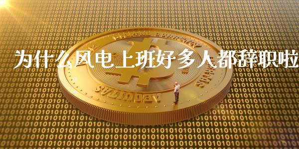 为什么风电上班好多人都辞职啦_https://m.fansifence.com_公募基金_第1张