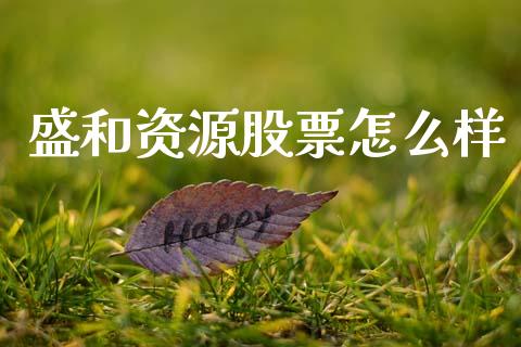 盛和资源股票怎么样_https://m.fansifence.com_公募基金_第1张