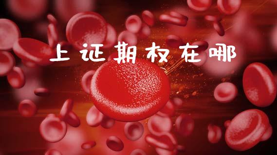 上证期权在哪_https://m.fansifence.com_贵金属行情_第1张