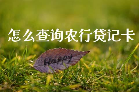 怎么查询农行贷记卡_https://m.fansifence.com_公募基金_第1张