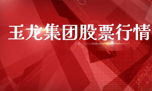 玉龙集团股票行情_https://m.fansifence.com_消费金融_第1张