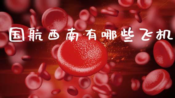国航西南有哪些飞机_https://m.fansifence.com_个股行情_第1张
