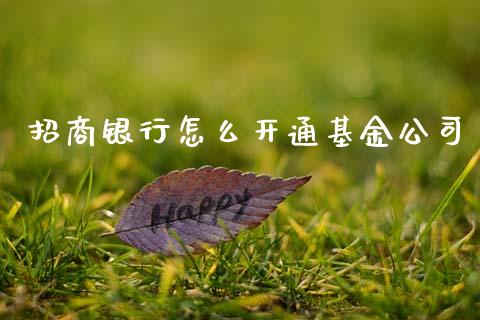 招商银行怎么开通基金公司_https://m.fansifence.com_消费金融_第1张