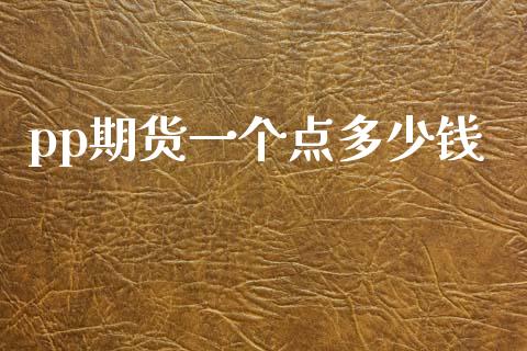 pp期货一个点多少钱_https://m.fansifence.com_贵金属行情_第1张