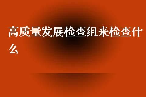 高质量发展检查组来检查什么_https://m.fansifence.com_个股行情_第1张