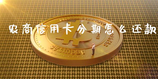 农商信用卡分期怎么还款_https://m.fansifence.com_公募基金_第1张