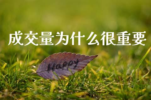 成交量为什么很重要_https://m.fansifence.com_个股行情_第1张
