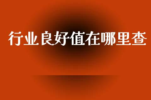 行业良好值在哪里查_https://m.fansifence.com_消费金融_第1张