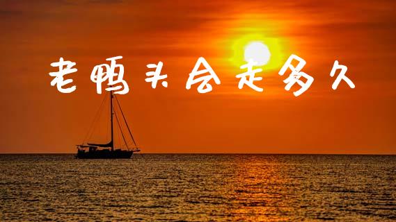老鸭头会走多久_https://m.fansifence.com_消费金融_第1张