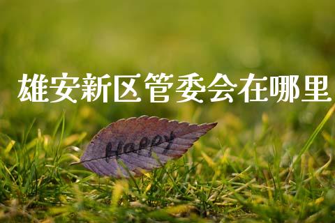 雄安新区管委会在哪里_https://m.fansifence.com_贵金属行情_第1张
