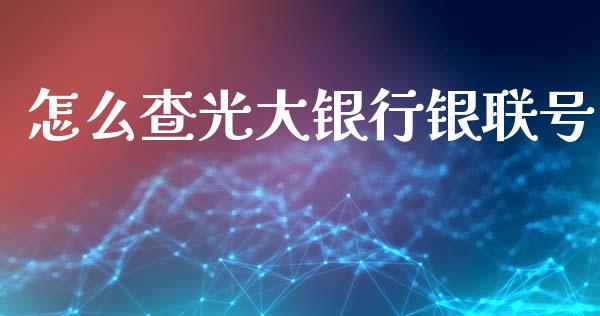 怎么查光大银行银联号_https://m.fansifence.com_消费金融_第1张