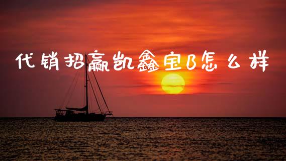 代销招赢凯鑫宝B怎么样_https://m.fansifence.com_公募基金_第1张