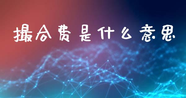 撮合费是什么意思_https://m.fansifence.com_消费金融_第1张