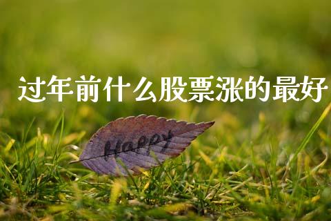 过年前什么股票涨的最好_https://m.fansifence.com_公募基金_第1张