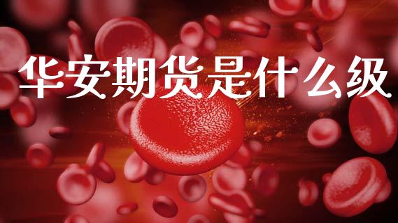 华安期货是什么级_https://m.fansifence.com_消费金融_第1张