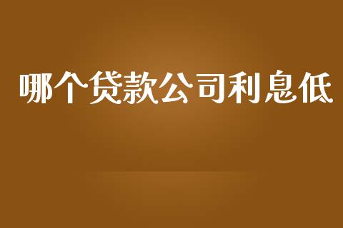 哪个贷款公司利息低_https://m.fansifence.com_贵金属行情_第1张