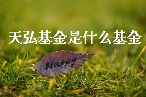 天弘基金是什么基金_https://m.fansifence.com_贵金属行情_第1张