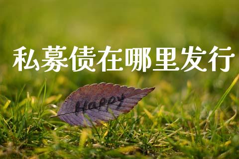 私募债在哪里发行_https://m.fansifence.com_个股行情_第1张