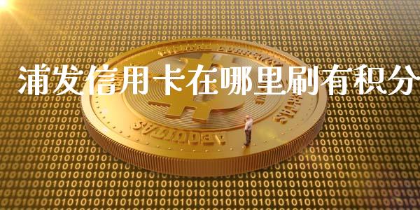 浦发信用卡在哪里刷有积分_https://m.fansifence.com_贵金属行情_第1张