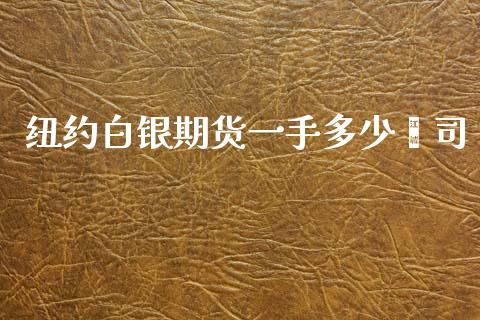 纽约白银期货一手多少盎司_https://m.fansifence.com_消费金融_第1张