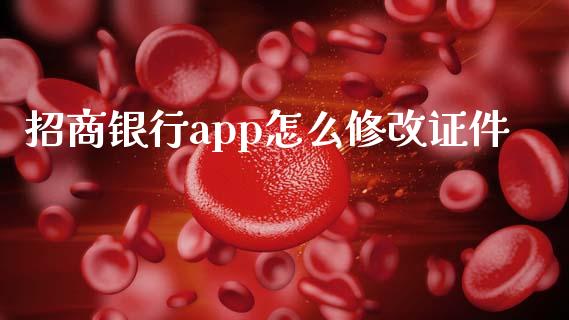 招商银行app怎么修改证件_https://m.fansifence.com_贵金属行情_第1张