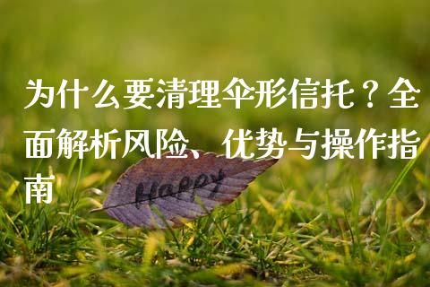 为什么要清理伞形信托？全面解析风险、优势与操作指南_https://m.fansifence.com_消费金融_第1张