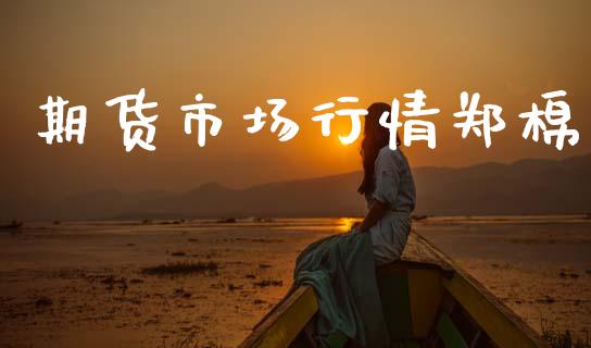 期货市场行情郑棉_https://m.fansifence.com_公募基金_第1张