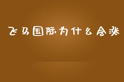 飞马国际为什么会涨_https://m.fansifence.com_消费金融_第1张