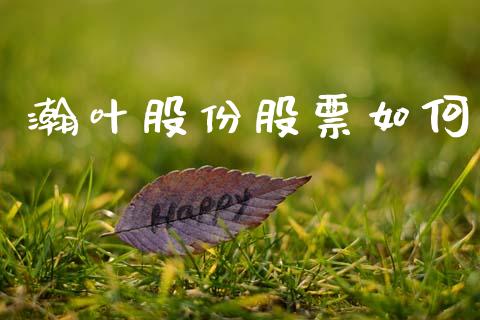 瀚叶股份股票如何_https://m.fansifence.com_个股行情_第1张