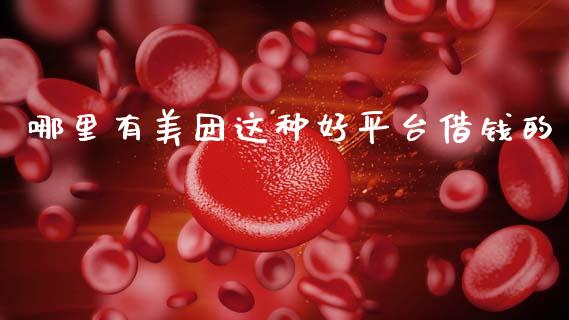 哪里有美团这种好平台借钱的_https://m.fansifence.com_公募基金_第1张