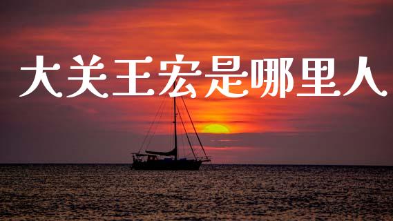 大关王宏是哪里人_https://m.fansifence.com_贵金属行情_第1张