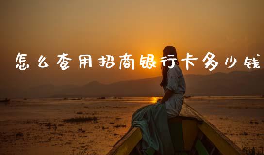 怎么查用招商银行卡多少钱_https://m.fansifence.com_消费金融_第1张