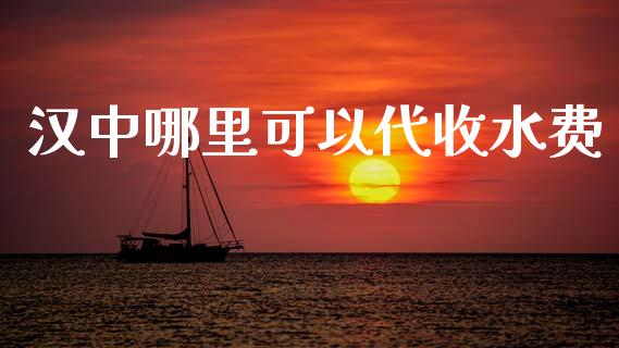 汉中哪里可以代收水费_https://m.fansifence.com_公募基金_第1张