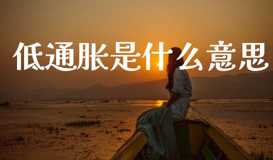 低通胀是什么意思_https://m.fansifence.com_个股行情_第1张