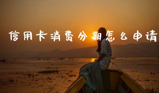 信用卡消费分期怎么申请_https://m.fansifence.com_公募基金_第1张