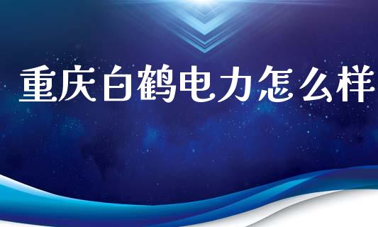 重庆白鹤电力怎么样_https://m.fansifence.com_公募基金_第1张