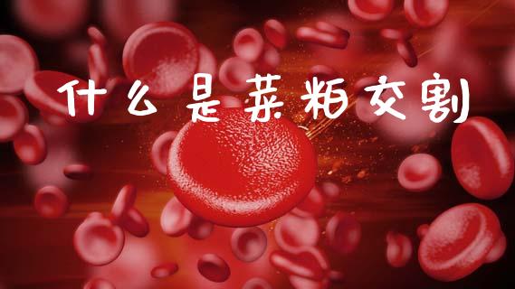 什么是菜粕交割_https://m.fansifence.com_消费金融_第1张