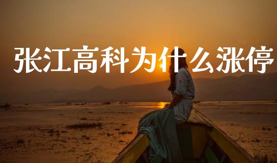 张江高科为什么涨停_https://m.fansifence.com_贵金属行情_第1张