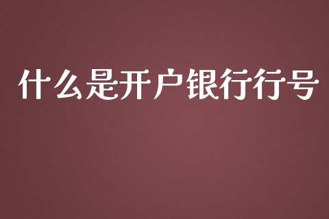 什么是开户银行行号_https://m.fansifence.com_消费金融_第1张